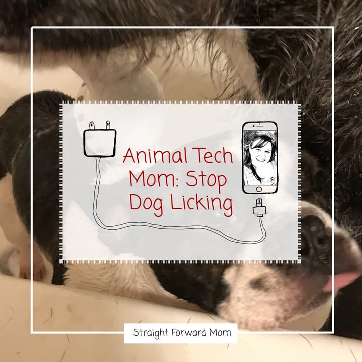 Dog Licking, keeping you awake at night? [step-by-step info]